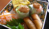 Different types of spring rolls snacks you must try in Vietnam